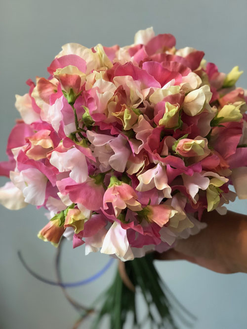 切り花を長く楽しむ方法 春日井の花屋arboのブログ